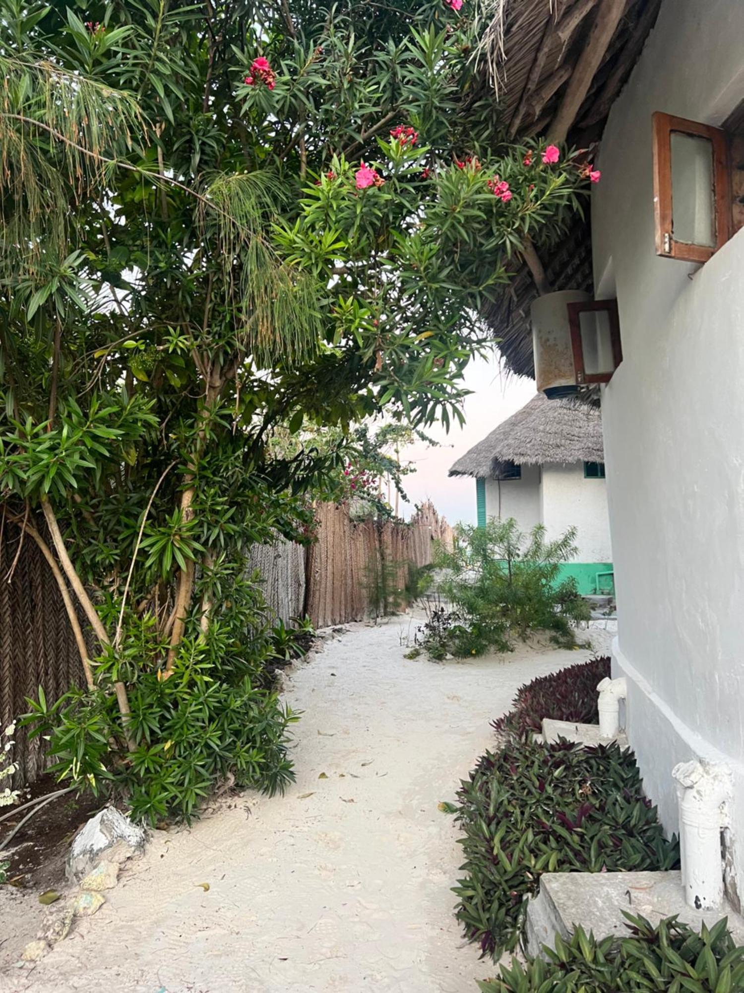 帕杰 Duara Beach House酒店 外观 照片
